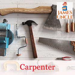 Carpenter Mr. Rabi Shaw in Sarsoona